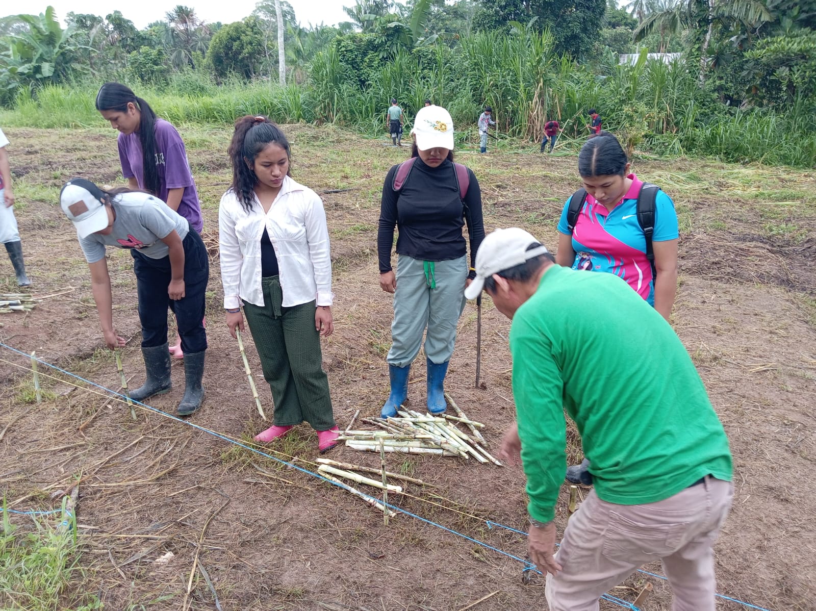 Programa de Estudios de Producción Agropecuaria – Actividades de Campo Experimental